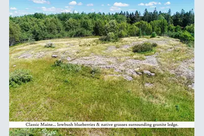 195 Ficketts Point Road, Milbridge, ME 04658 - Photo 4