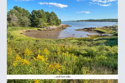 195A Ficketts Point Road, Milbridge, ME 04658 - Photo 12