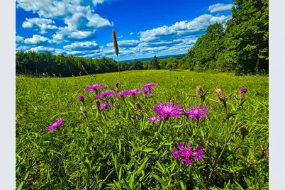 226 Harris Hill Road, Weston, ME 04424 - Photo 8