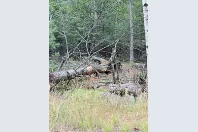 00 Walker Road, Lamoine, ME 04605 - Photo 1