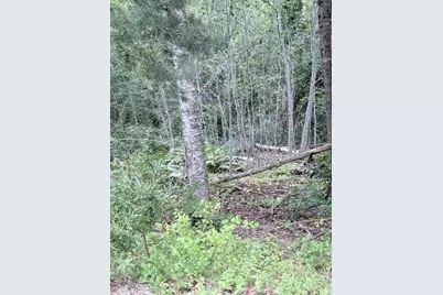 00 Walker Road, Lamoine, ME 04605 - Photo 2