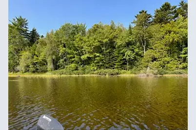 Lot 35 Woodland Ridge Road, Danforth, ME 04424 - Photo 2