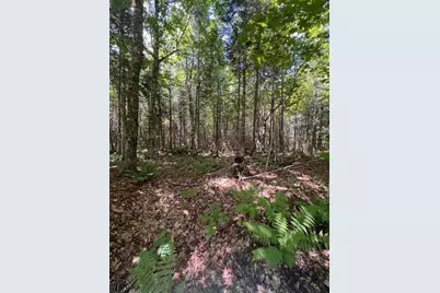 Lot 35 Woodland Ridge Road, Danforth, ME 04424 - Photo 12