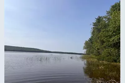 Lot 35 Woodland Ridge Road, Danforth, ME 04424 - Photo 6