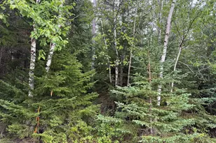 9 Redoubt Hill Rd, Eastport, ME 04631 - Photo 1