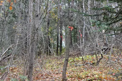 Lot #5 Hardy Point Road, Pembroke, ME 04666 - Photo 14