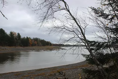 Lot #5 Hardy Point Road, Pembroke, ME 04666 - Photo 6