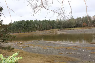 Lot #5 Hardy Point Road, Pembroke, ME 04666 - Photo 10
