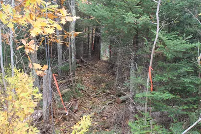 Lot #5 Hardy Point Road, Pembroke, ME 04666 - Photo 12