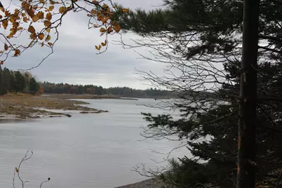 Lot #5 Hardy Point Road, Pembroke, ME 04666 - Photo 4