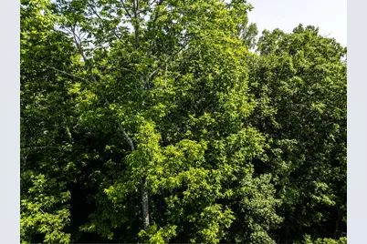 Lot 7 Waukeag Way, Belfast, ME 04915 - Photo 12