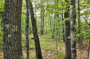 280 Lessner Rd, Damariscotta, ME 04543 - Photo 44