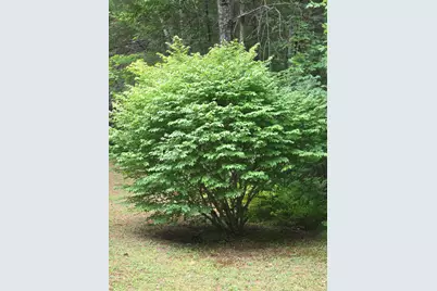 10 Mountainside Park, Camden, ME 04843 - Photo 18