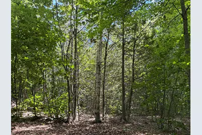 3.15 Acres Belden Woods Road, Palermo, ME 04354 - Photo 10