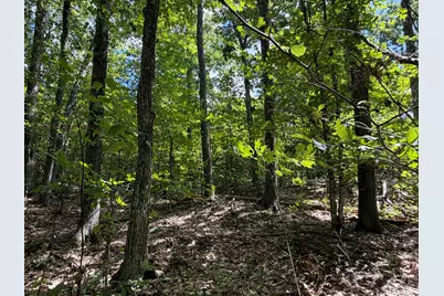 3.15 Acres Belden Woods Road, Palermo, ME 04354 - Photo 6