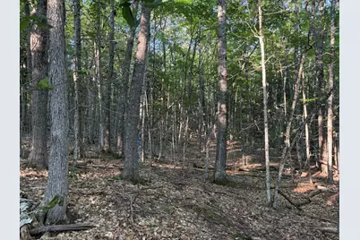 7 Acres Belden Woods Road, Palermo, ME 04354 - Photo 12