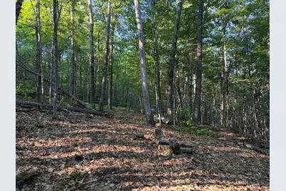 7 Acres Belden Woods Road, Palermo, ME 04354 - Photo 10