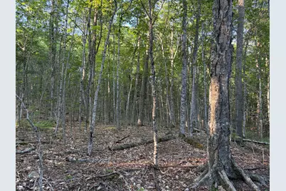 7 Acres Belden Woods Road, Palermo, ME 04354 - Photo 16