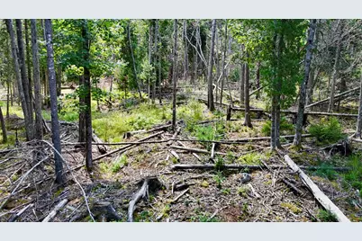 M08 L044-D Flye Point Road, Brooklin, ME 04616 - Photo 4
