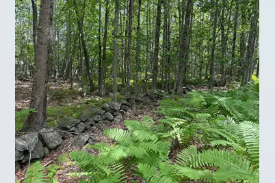 L52B & 52C Off Gammon Road, Limington, ME 04049 - Photo 14