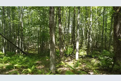 L52B & 52C Off Gammon Road, Limington, ME 04049 - Photo 8