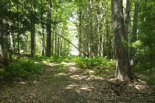 L52B & 52C Off Gammon Rd, Limington, ME 04049 - Photo 1