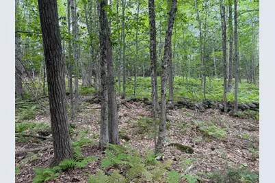 L52B & 52C Off Gammon Road, Limington, ME 04049 - Photo 16
