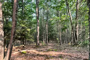 700 E Burrough Rd, Bowdoin, ME 04287 - Photo 1