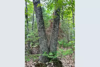 70-0 East Burrough Road, Bowdoin, ME 04287 - Photo 2