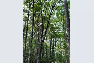 70-0 East Burrough Road, Bowdoin, ME 04287 - Photo 14