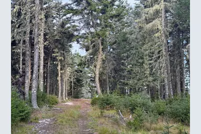 Lot 10-1 N Sutton Island, Cranberry Isles, ME 04625 - Photo 2