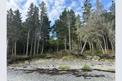 Lot 10-1 N Sutton Island, Cranberry Isles, ME 04625 - Photo 10