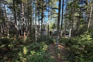 35 Otter Slide Rd, Greenville, ME 04441 - Photo 14