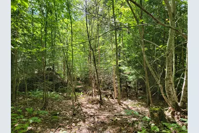 B-2Backlot Pioneer Path, Aurora, ME 04605 - Photo 26