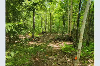 B-2Backlot Pioneer Path, Aurora, ME 04605 - Photo 4