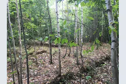 B-2Backlot Pioneer Path, Aurora, ME 04605 - Photo 8