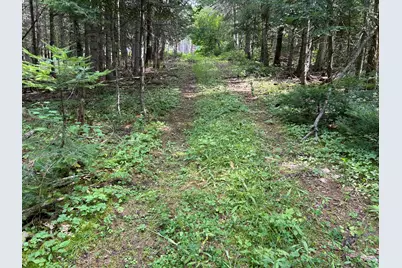 272 East Road, New Sweden, ME 04762 - Photo 34