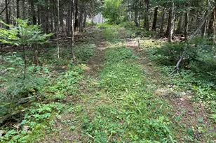 272 E Rd, New Sweden, ME 04762 - Photo 34