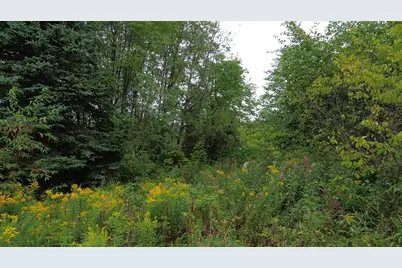 272 East Road, New Sweden, ME 04762 - Photo 8