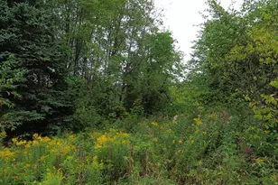 272 E Rd, New Sweden, ME 04762 - Photo 8