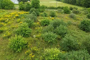 272 E Rd, New Sweden, ME 04762 - Photo 4