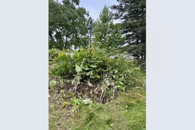 586 Robinson Road, Blaine, ME 04734 - Photo 12