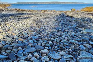1197 Bay Rd, Brooklin, ME 04616 - Photo 2