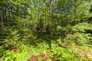 396 School St, Weld, ME 04285 - Photo 28