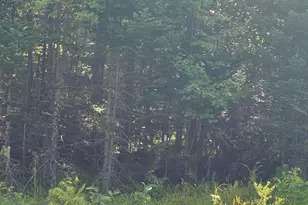 1256 Long Ridge Rd, Burlington, ME 04417 - Photo 1