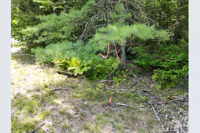 Lot 5 River Road, Maxfield, ME 04453 - Photo 4