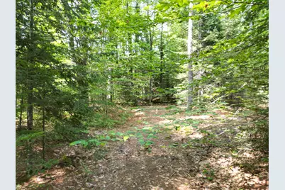 Lot 5 River Road, Maxfield, ME 04453 - Photo 6