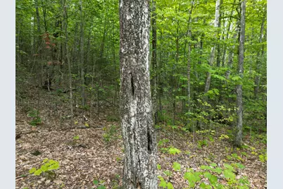 Lot 32 Bagley Mountain Road, Lincoln, ME 04457 - Photo 6