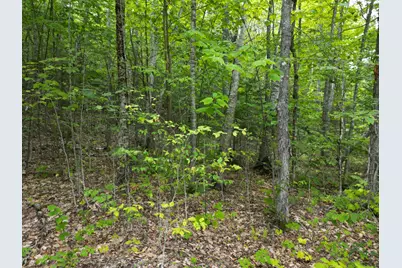 Lot 32 Bagley Mountain Road, Lincoln, ME 04457 - Photo 8