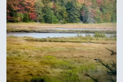 66 Salty Marsh Drive, Steuben, ME 04680 - Photo 6
